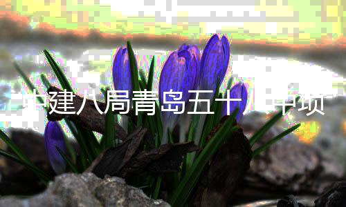 项目封顶八局八中青岛全部五十中建主体